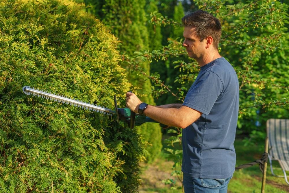 Gardener service in Dublin